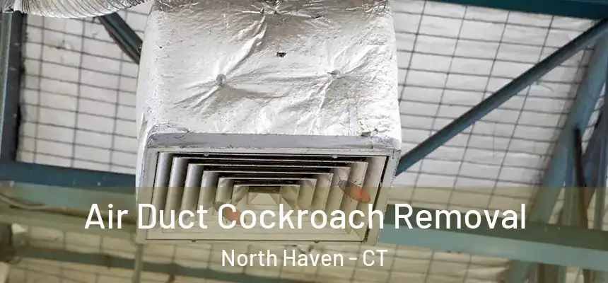 Air Duct Cockroach Removal North Haven - CT