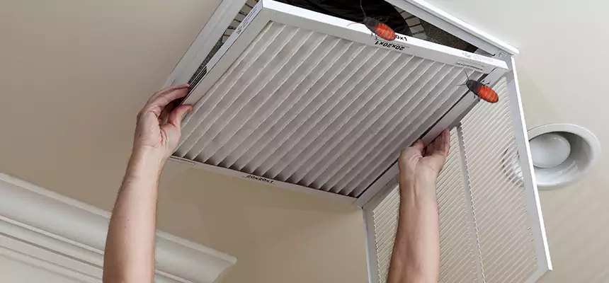 Preventive Cockroach-Proofing for Ducts in North Haven