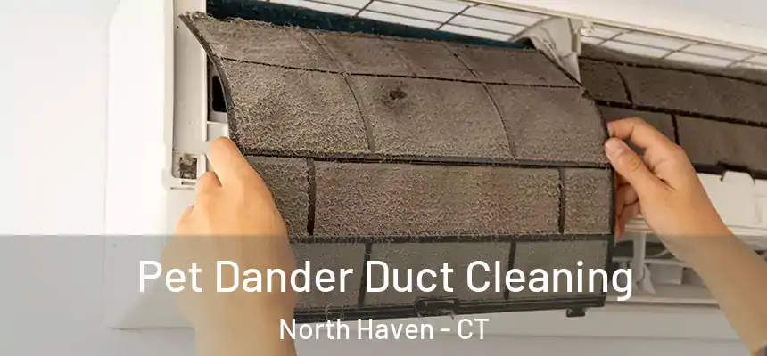  Pet Dander Duct Cleaning North Haven - CT